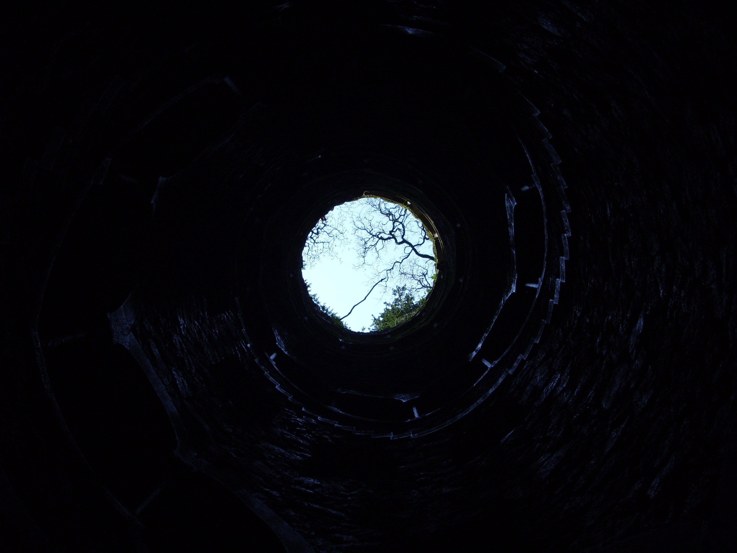 blog1
